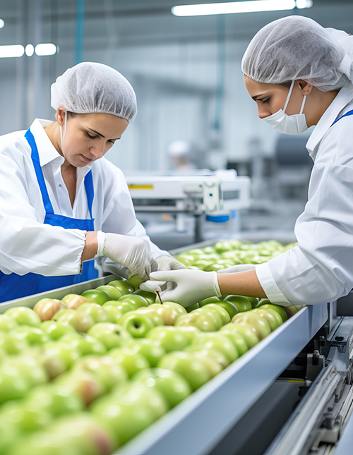 Costabell Productos Alimenticios a base de Frutas. Producción