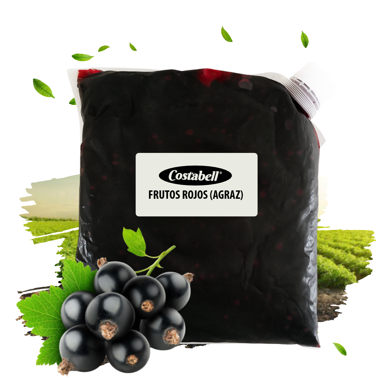 Productos Costabell SAS, productos a base de frutas Bogotá. Frutos Rojos Agraz