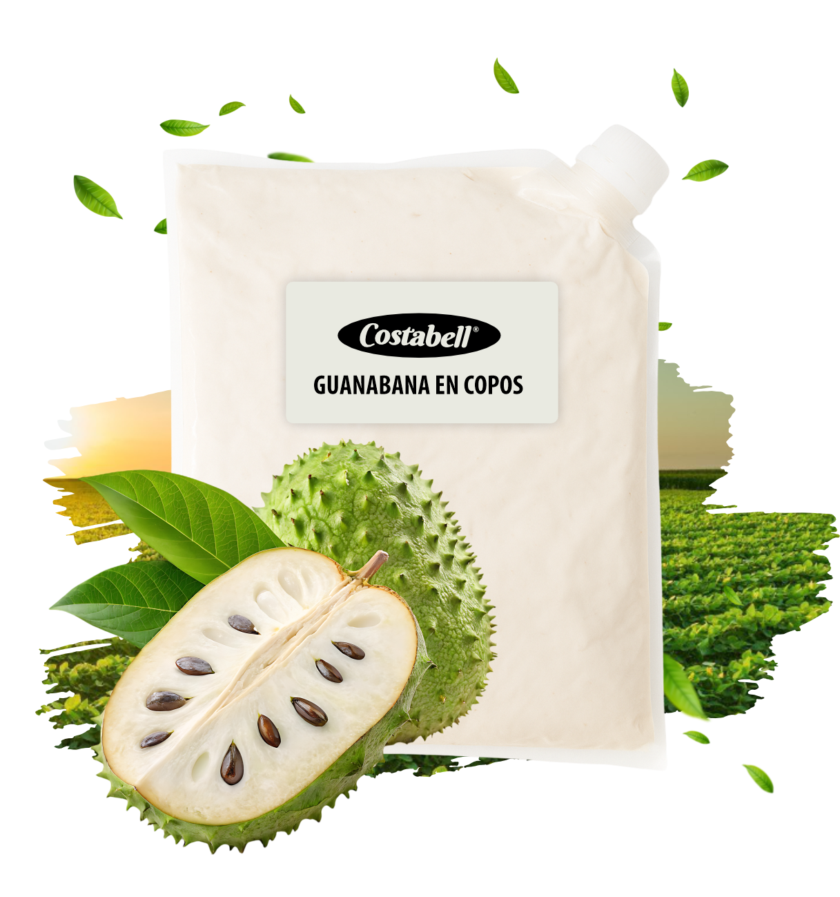 Productos Costabell SAS, productos a base de frutas Bogotá