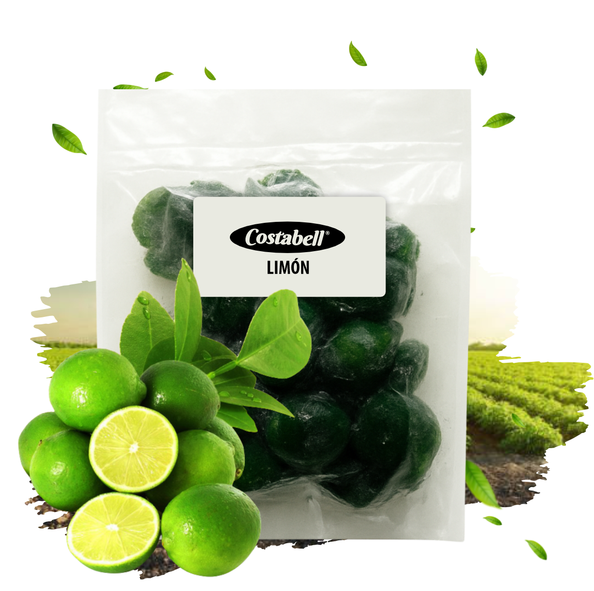 Productos Costabell SAS, productos a base de frutas Bogotá