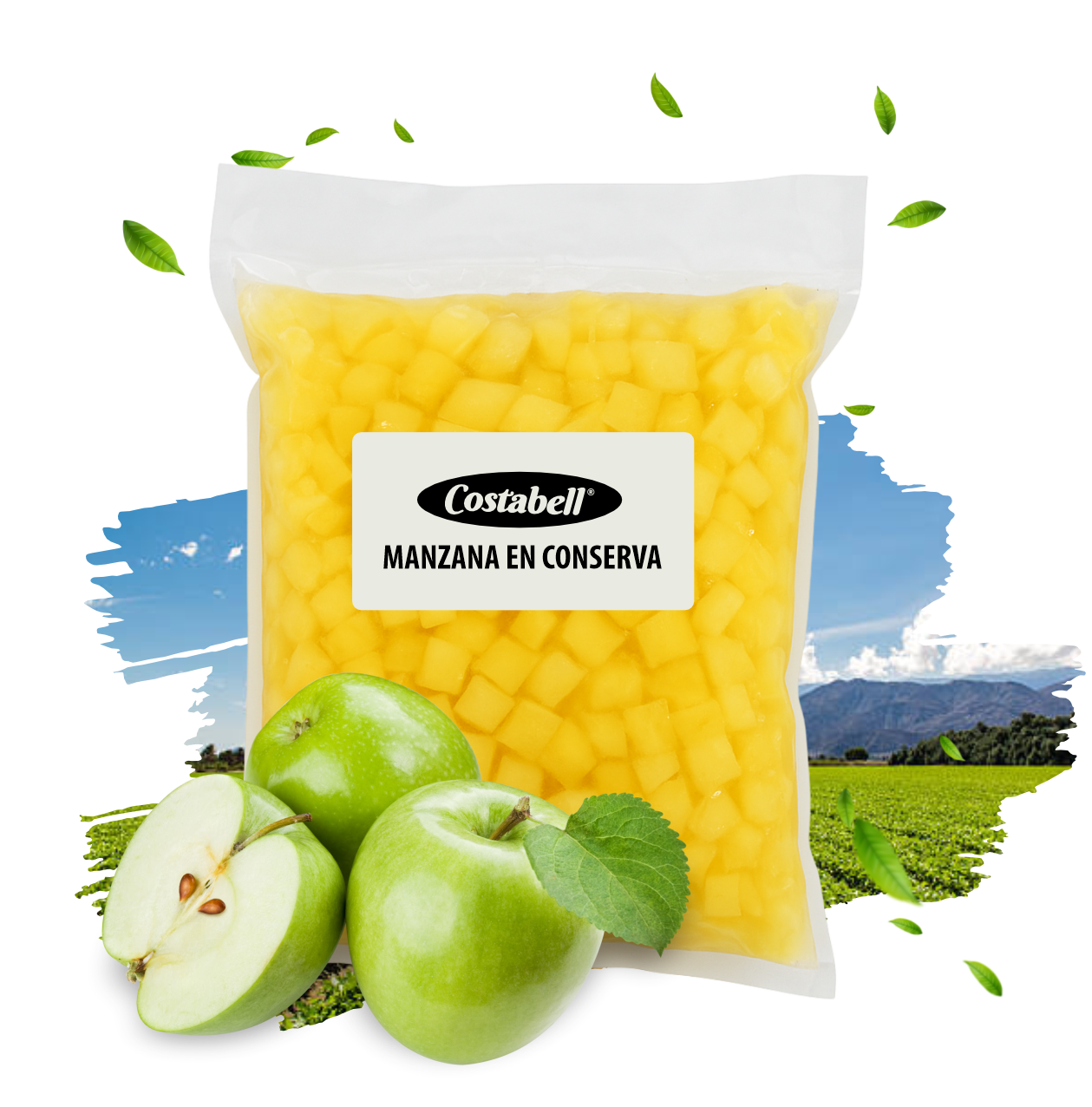 Productos Costabell SAS, productos a base de frutas Bogotá