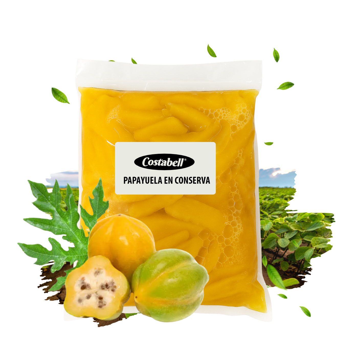 Productos Costabell SAS, productos a base de frutas Bogotá