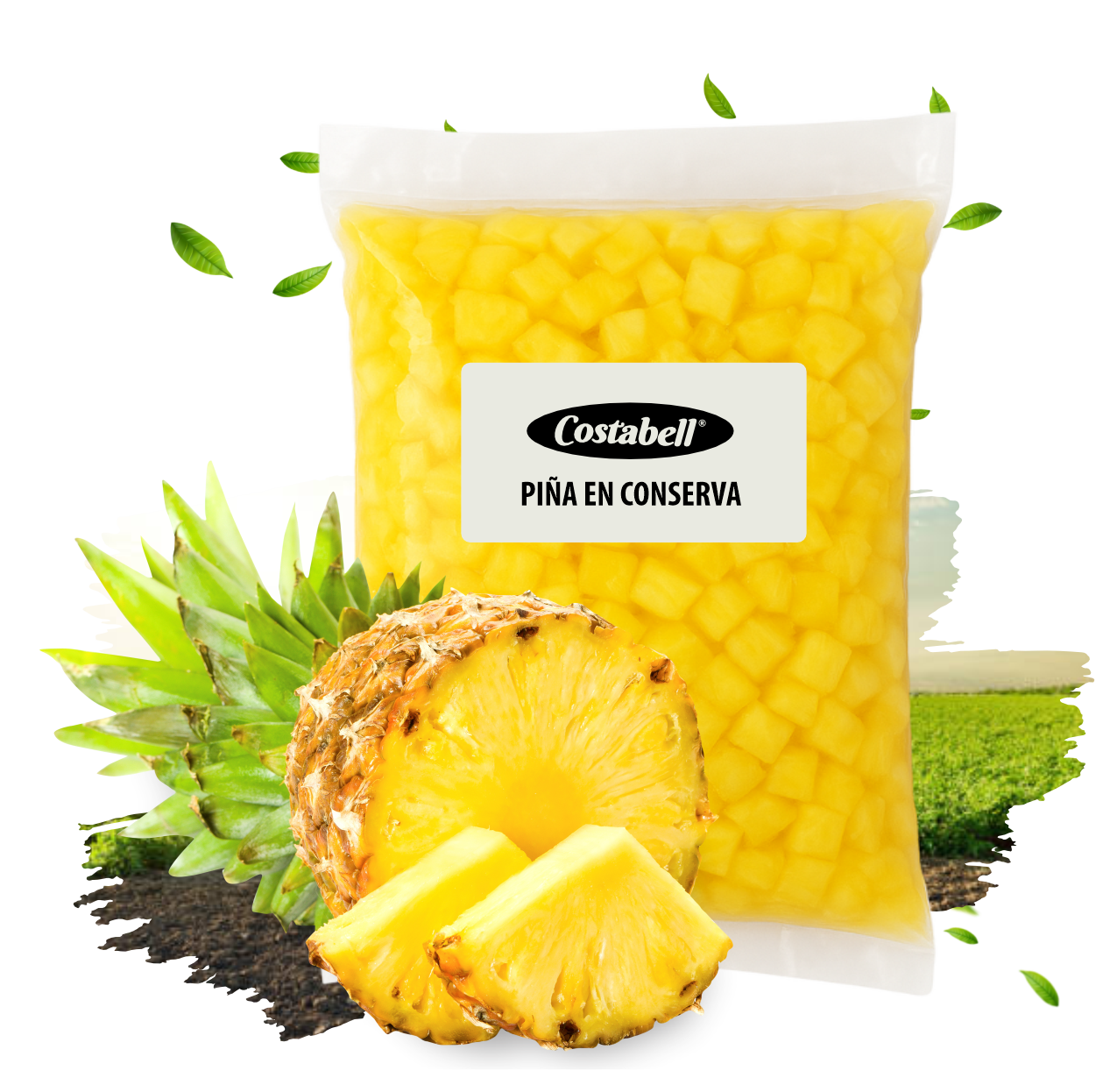 Productos Costabell SAS, productos a base de frutas Bogotá