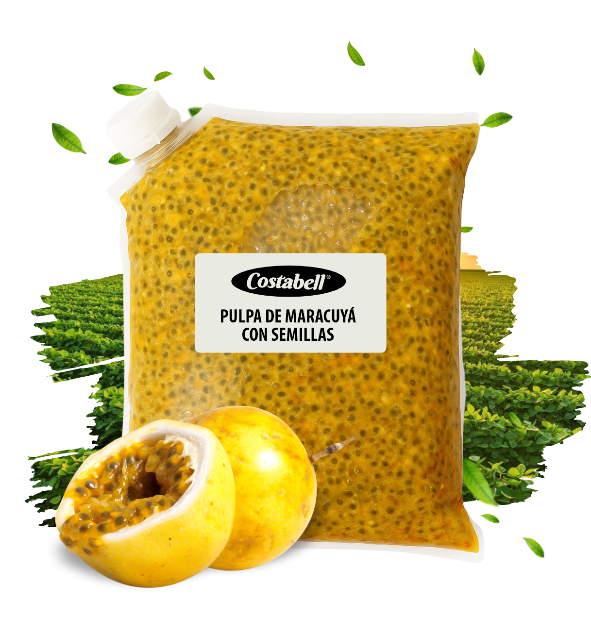 Productos Costabell SAS, productos a base de frutas Bogotá