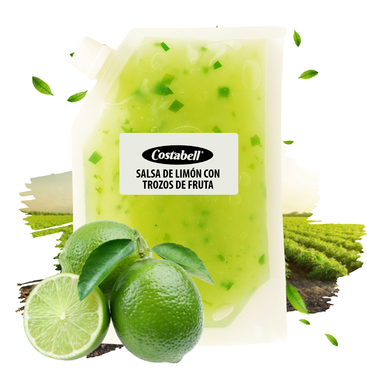 Productos Costabell SAS, productos a base de frutas Bogotá