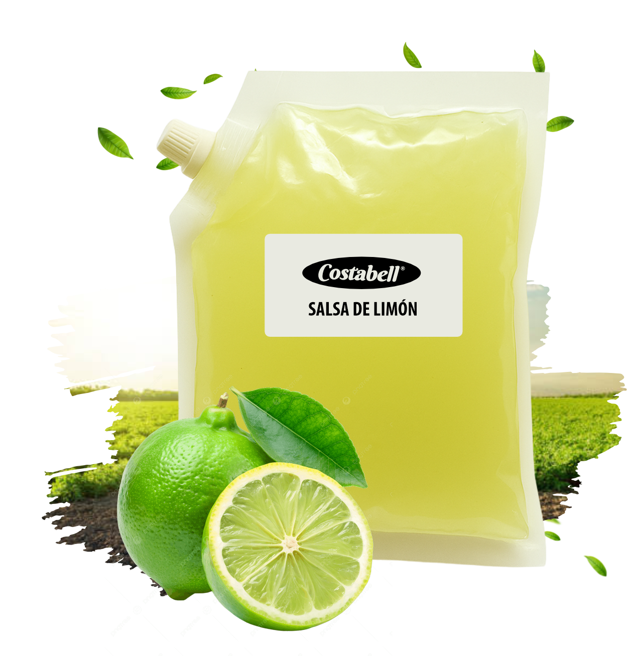 Productos Costabell SAS, productos a base de frutas Bogotá