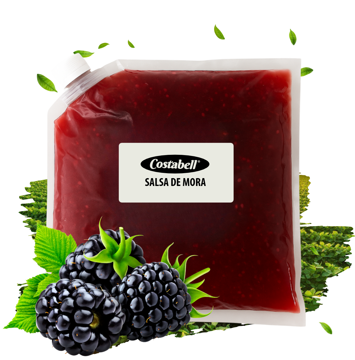 Productos Costabell SAS, productos a base de frutas Bogotá. Salsa de mora